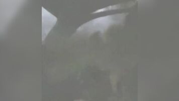 Mom and MILF characters in desadov porn movies are usually the persecutors in a brutal and violent sex setting.
