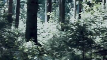 Hot milf gets fucked in an anal rape sex video.
